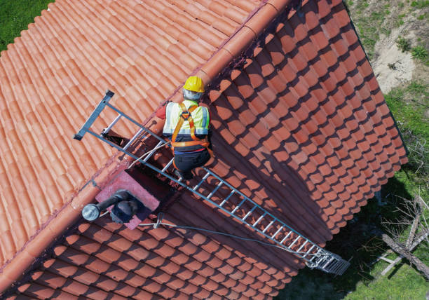 Best Gutter Installation and Repair  in Rock Falls, IL
